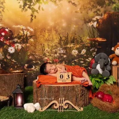 A newborn sleeps on a log in an enchanted forest setting, complete with a glowing lantern and a date block marking the day. The warm, golden light gives the scene a magical feel.