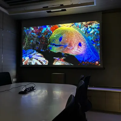 A powerful Optoma ultra-short-throw laser projector delivers a stunningly bright and colorful image on a 120-inch screen, making it ideal for modern conference rooms where you can't always control the lighting.