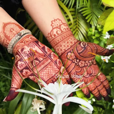 The gorgeous, deep red stain of a bridal design, featuring peacocks and elephants. The color is a result of my natural henna and proper aftercare.