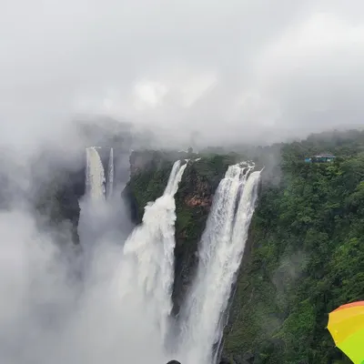 The mighty Jog Falls in Shivamogga, partially shrouded in monsoon mist. We visit this giant on our Sharavathi Valley trips, offering a spectacular view of one of India's most famous waterfalls.