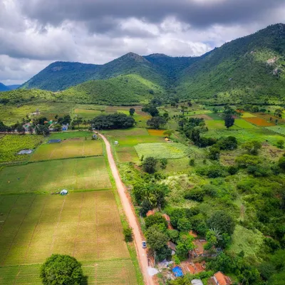 The rolling green hills of Gopalaswamy Betta, part of the Bandipur National Park. This picturesque landscape shows a dirt road winding through vibrant fields and forests.
