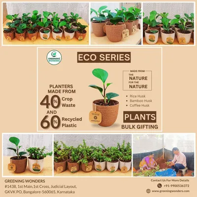 This collage highlights our Eco-Series pots, a sustainable choice for bulk gifting. Made from rice husk, bamboo husk, and recycled materials, these planters support both healthy plants and a healthy planet.