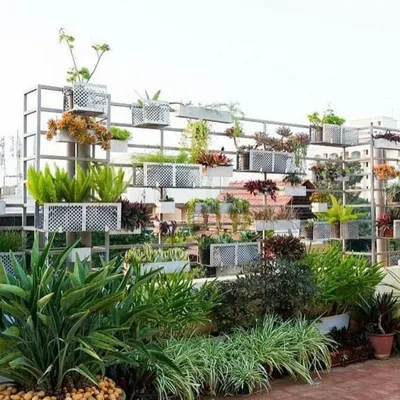 This custom modular green wall was designed for a commercial terrace to provide privacy and a strong visual element. The metal grid and planter system allows for a diverse mix of plants, turning a plain wall into a vertical garden.