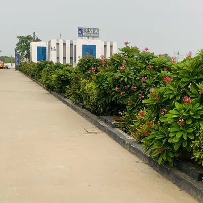 The entrance to Uma Public School, our home base in Greater Noida. The lush greenery provides a welcoming and serene environment for our academy.