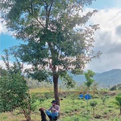 Finding a moment of peace with my dog under a tree on the estate. This is 'Shinrin Yoku' or forest healing in practice. It's about simplifying and connecting with nature, a core part of the reset I offer here.