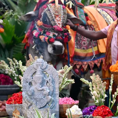 A handcrafted Ganesha statue sits amongst fresh flowers and a decorated bull during a Makar Sankranti celebration, blending our art with cultural festivities.