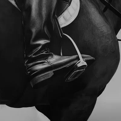Titled 'Leather & Flesh', this piece is a study in textures. I meticulously drew the contrast between the smooth, polished leather of the riding boot and the powerful, muscular form of the horse, highlighting the unique bond in equestrian sport.