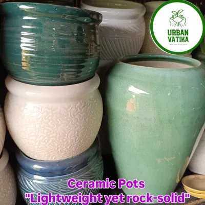 A collection of my ceramic pots. They are lightweight yet rock-solid, perfect for both indoor and outdoor use.