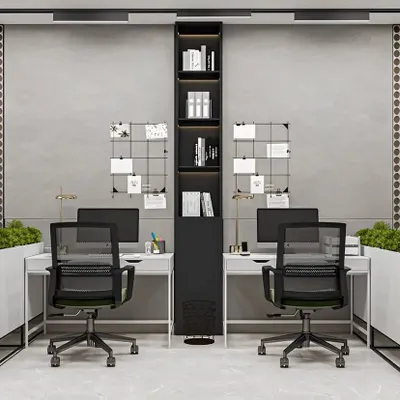 This dual workstation setup is designed for efficiency and personalization. It features clean white desks with ergonomic mesh chairs, separated by a central shelving unit and flanked by large planters that introduce a biophilic element into the workspace.