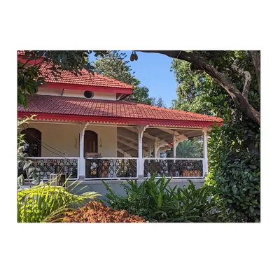 The restored veranda of a century-old building, nestled amongst lush foliage. Our landscape work aimed to enhance the building's character, using plants to soften its edges and integrate it into the surrounding garden.