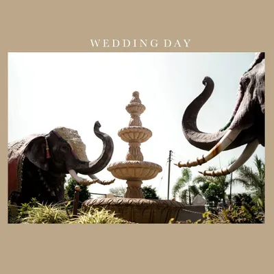 The decor and venue are a big part of your wedding's story. This artistic shot captures the grand elephant statues and fountain, setting the scene for a royal celebration.