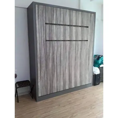This is a wall-mounted folding bed, shown here in its closed position. It looks like a sleek, modern wardrobe, freeing up valuable floor space during the day for work or play.