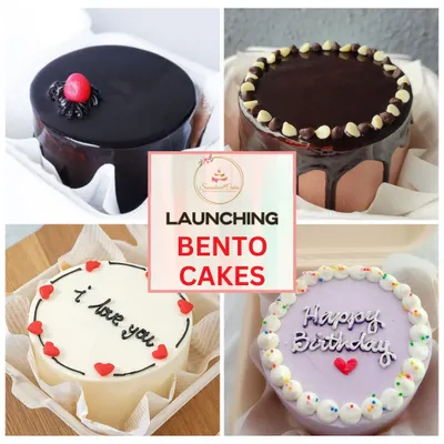 My bento cakes are perfect for celebrating small wins or sending a sweet message. This image showcases four popular styles: a rich chocolate glaze, a chocolate chip drip, a simple "I love you" design, and a festive "Happy Birthday" cake.