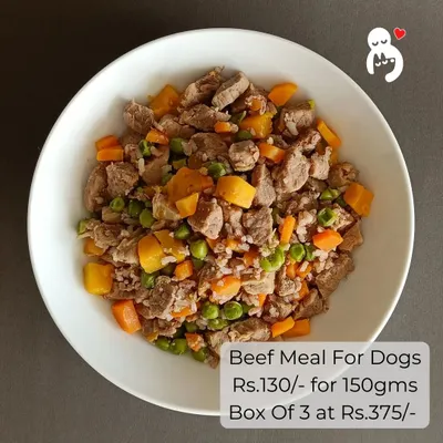 Our Beef Meal is packed with chunky beef, sweet potato, carrots, and peas. It's a hearty, high-protein option perfect for active adult dogs and growing puppies.
