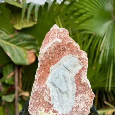 A natural rock carving of Naga Deva, inspired by the temples of South India. The artist carves the deity into the stone while leaving the surrounding rock raw, adding a touch of rustic spirituality to your garden.