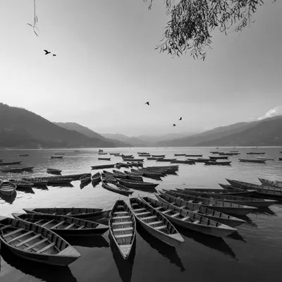 In this black and white version, the boats on Phewa Lake become a study of form and reflection. The absence of color emphasizes the quiet mood and the birds flying overhead.