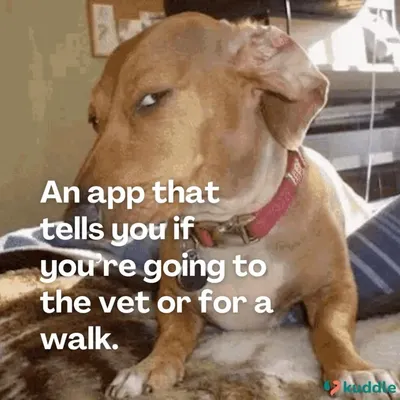 If dogs had startup ideas, this would be at the top of the list. An app to tell them if it's a vet trip or a walk in the park.