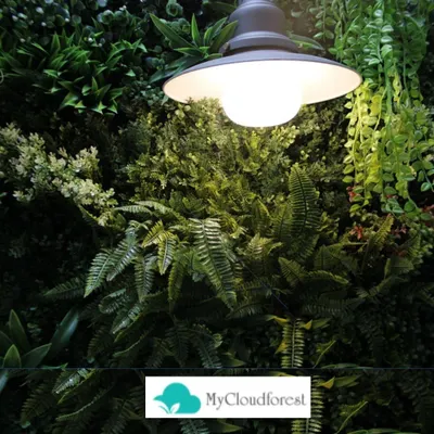 This is a close-up view of one of my artificial vertical gardens, highlighting the rich textures and variety of foliage I use. The integrated lighting fixture enhances the depth and colors of the plants, turning the wall into a dramatic feature, especially in the evening.