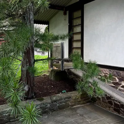 We had an incredible visit to the studio of George Nakashima, a master woodworker whose legacy continues to inspire us. The quiet beauty of the work and the place is a powerful reminder of the deep connection between craft, material, and soul.