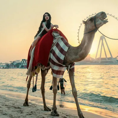 Where the desert meets the waves, she reigns. A breathtaking sunset portrait in Dubai, featuring a model on a camel with the Ain Dubai wheel in the background.