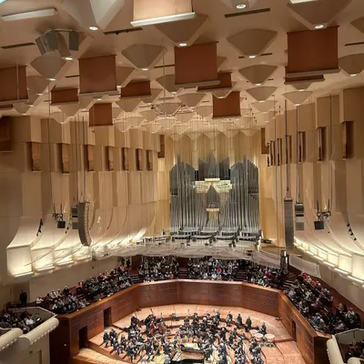 An afternoon at the San Francisco Symphony was a bucket list experience. This wide shot captures the stunning architecture and the grandeur of the philharmonic hall.