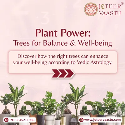 This series explores Plant Power. Discover how planting the right trees according to Vedic Astrology can enhance your well being and bring balance to your life.