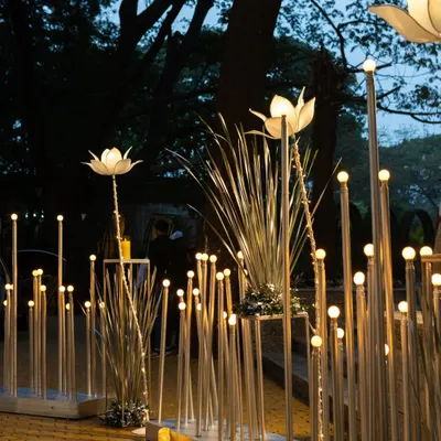 An enchanting entrance pathway created with illuminated lotus-shaped lights and tall grass elements, setting a magical tone for an evening celebration.
