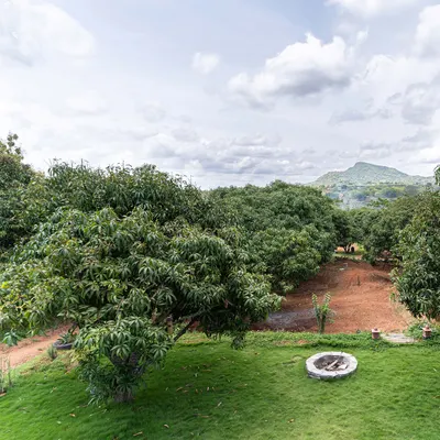 The "Aamra" farmhouse was designed to be nestled within a canopy of mango trees, overlooking the Banthamari state forest. The goal was a simple, maintenance-friendly house that reflects a life connected to the bucolic landscape.