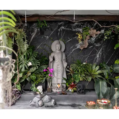 A wider view of the sunroom I helped design, showing the standing Buddha statue as the serene centerpiece. This is what I love to do: create a peaceful garden in the sky, a space for the wild and free.