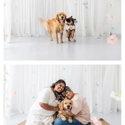 A collage from our Mother's Day mini-sessions. The bright, airy studio setup with hanging flowers was the perfect backdrop to celebrate the special bond between dog moms and their fur-babies.