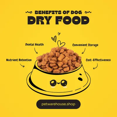 Dry food is a convenient and cost-effective choice for many pet parents. This graphic explains its benefits, including promoting dental health and excellent nutrient retention.