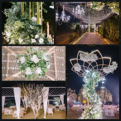 This collage captures the key elements of a starlit wedding reception I designed. It features a grand floral centerpiece, a fairy-lit entrance tunnel, and elegant guest seating, all working together to create a magical evening.