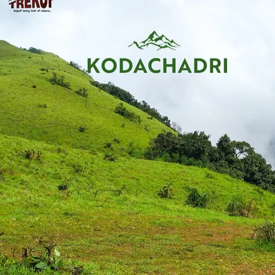 The rolling green hills of Kodachadri on a misty day. This trek offers a mix of dense forests, waterfalls, and panoramic summit views.