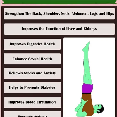 Sarvangasana, or the shoulder stand, is known as the queen of all asanas for a reason. This graphic outlines its incredible health benefits, from improving liver function and blood circulation to relieving stress and anxiety.
