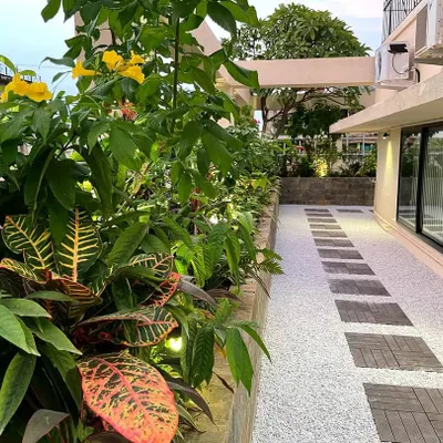 A daytime view of the corporate terrace project, showcasing the vibrant contrast between the yellow Tecoma flowers, colorful crotons, and the clean white gravel path. We select plants that provide color and texture throughout the year.