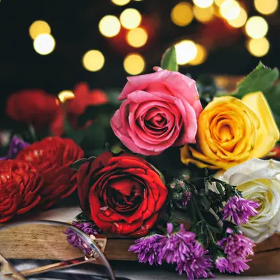 A moody and romantic still life of colorful roses on an open book, with soft bokeh lights creating a magical and dreamy atmosphere.