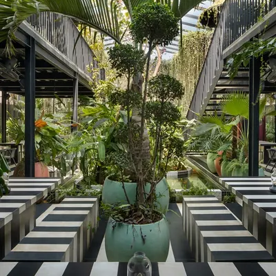 The interior of the Sunrise restaurant is a study in contrasts, with bold striped seating set against a backdrop of dense, tropical greenery. The design creates intimate zones within a larger, open-plan space.
