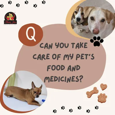 We get this question a lot. Pet parents are often worried about their dog's specific dietary needs or medication schedules while they are away.