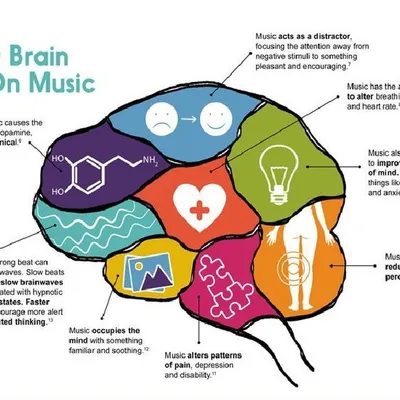 This diagram shows what happens to your brain on music. Proper, structured learning releases dopamine, improves your state of mind, and enhances cognitive abilities.