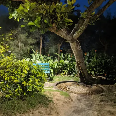 At night, subtle lighting illuminates a quiet seating nook with a blue bench, nestled under a tree. This creates a perfect spot for peaceful evening contemplation in the garden.