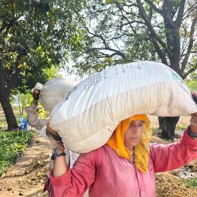 A local woman from our Uldeypur team carrying a sack of compost. These women are the backbone of our projects, bringing invaluable local knowledge and a powerful work ethic.