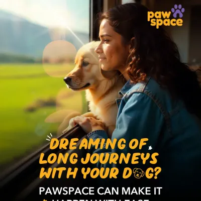 Dreaming of taking your dog on a long journey? Our pet relocation service makes it a reality, ensuring a safe and comfortable experience whether you're moving across the country or just exploring.