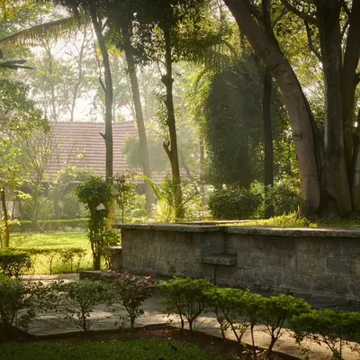 Sunbeams filter through the sacred Peepal and Neem trees in our garden. These ancient trees are known for their healing energy, and their presence creates a calming and sacred atmosphere throughout our campus.