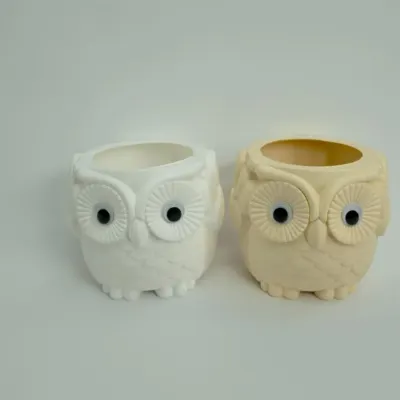 Add a touch of whimsy to your decor with our quirky planters. These adorable owl-shaped pots are perfect for small succulents or cacti and are sure to bring a smile to your face.