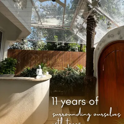 Our studio is a haven surrounded by trees. This is the view that greets you, a promise of the peace and connection with nature that we cultivate in our practice.