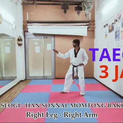 A tutorial still for Taegeuk Sam Jang (Poomsae 3), required for the green-one belt. Each Poomsae introduces new stances and techniques, like the Han Sonnal Momtong Bakkat Makgi (single knife-hand block) shown here.