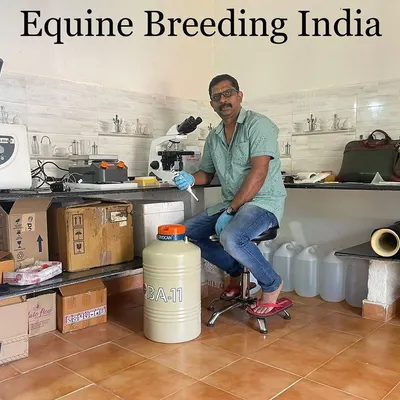 Precision is key in our breeding process. Our on site lab allows for detailed analysis of equine genetics, ensuring we select for the best traits to produce strong, athletic offspring for sporting purposes.