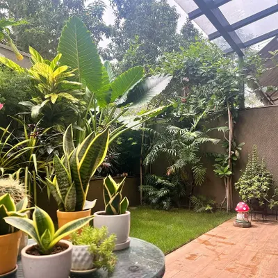 A look at this gorgeous garden from another angle. We helped set up a mix of plants, including snake plants in beautiful pots on the table, a tall bird of paradise, and various foliage plants that create a layered, tropical look.
