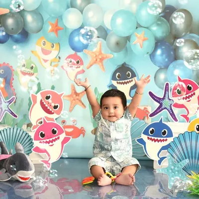 Doo doo doo! A fun and colorful Baby Shark themed shoot is always a hit. I use bright backdrops and familiar characters to bring your child's favorite song to life.