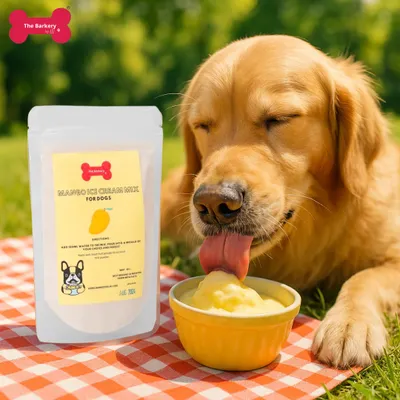 My Mango Ice Cream mix is a customer favorite. This happy Golden Retriever is proof of how much dogs love this cool, fruity treat. The mix is dairy-free and contains no sugar.